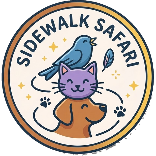 Sidewalk Safari